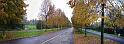viale