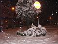 notturno